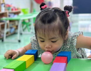 Chương Trình Giáo Dục Hòa Nhập